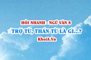 Trợ từ là gì? Thán từ là gì? Đặc điểm và chức năng của trợ từ, thán từ? Ví dụ? Ngữ Văn lớp 8